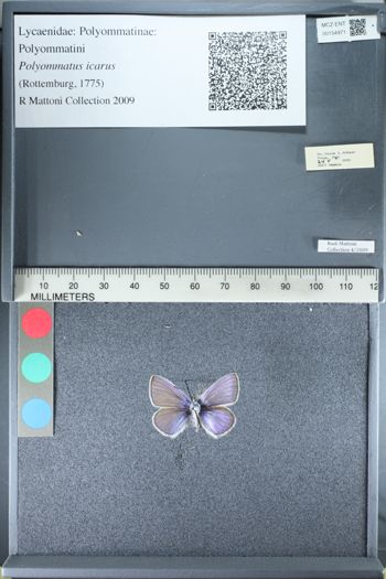 Media type: image;   Entomology 154971